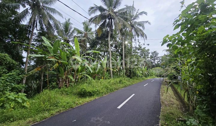 Dijual Tanah di Pinggir Jalan Hotmik di Tabanan Bali