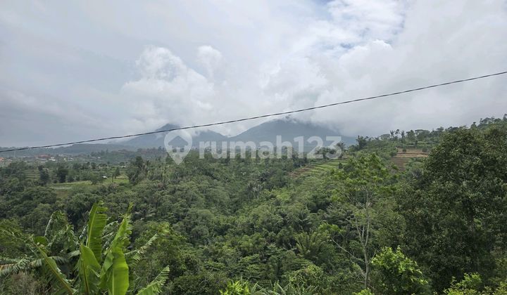 Beautiful Garden View Land for Sale in Baturiti, Tabanan, Bali