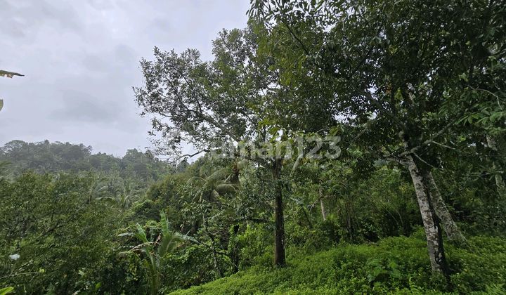 Dijual Tanah Murah di Tabanan Bali