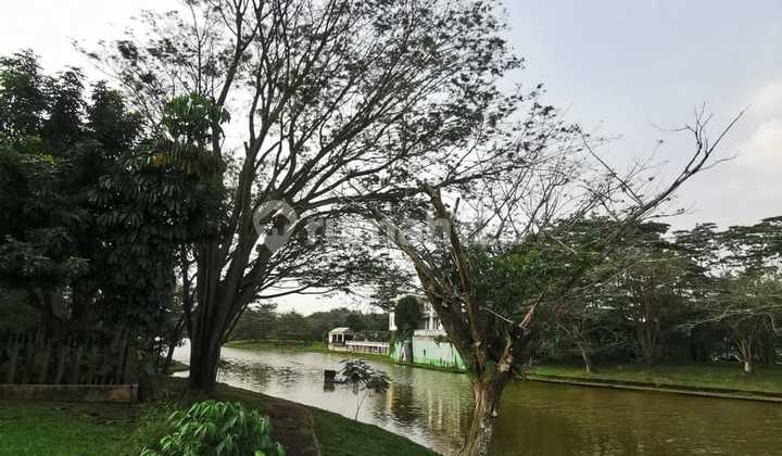 Turun Harga! Tanah Di Serpong Utara Shm