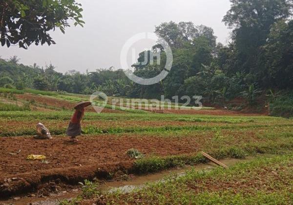 Dijual Tanah Mekarwangi Cisauk Tigaraksa