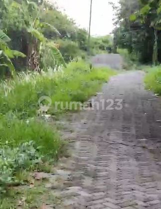 Jual Kavling Pinggir Jalan Gotong Royong Gombel Lama Semarang