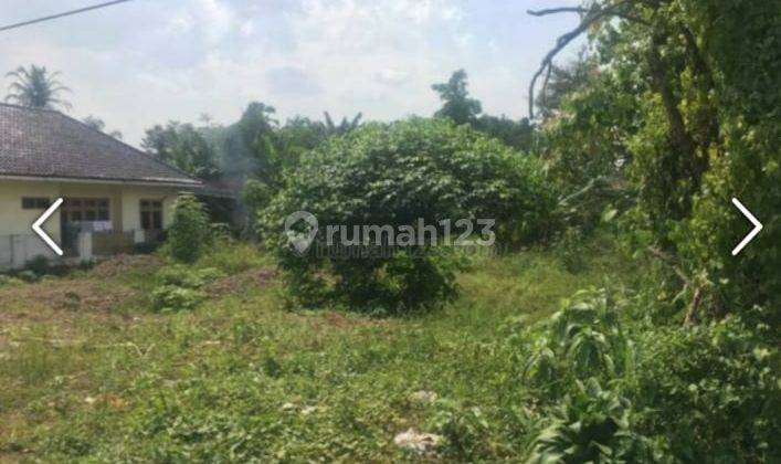 Sewa Murah Lokasi Strategis Tanah Jl Raya Cisauk Legok Tangerang 2