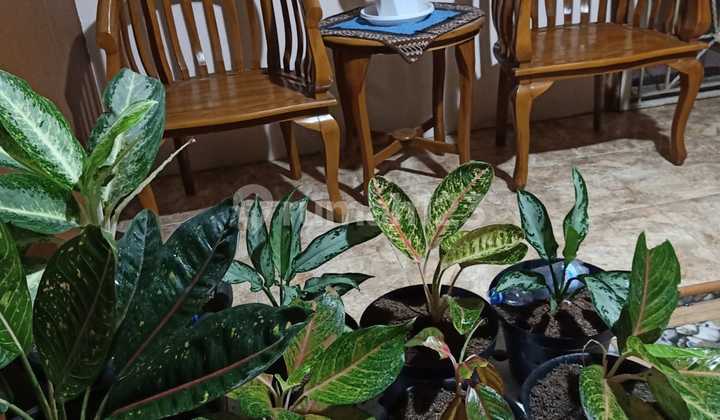 1.5-Story House Ready to Occupancy, Flood-Free, Affordable Price Below Market in Duta Bumi, Pejuang, Medan Satria, Kota Harapan Indah, Bekasi 2