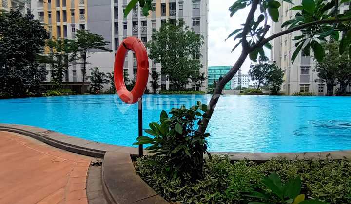 Apartemen The Springlake Summarecon Bekasi Utara Tower Azolla Full Furnished,siap Huni Harga Murah  2