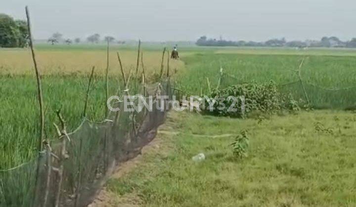 Tanah Luas Lokasi Dekat Jalan Raya Di Tambelang Bekasi S7533 2