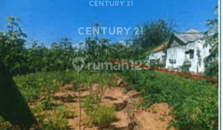 Tanah Pinggir Jalan Lokasi Strategis Di Semarang Barat S9301 1