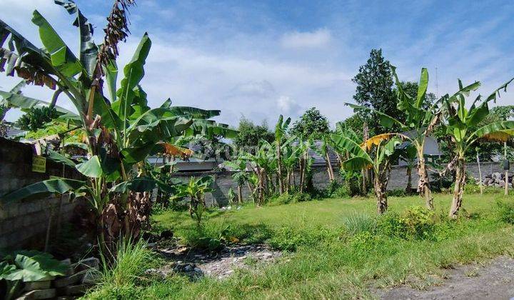 Tanah Pekarangan Murah Jogja Untuk Hunian Tanpa Bunga 1