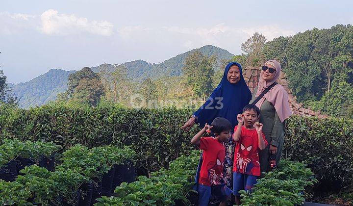 Tanah Kavling SHM Ciater Waterfall Hills Siap Bangun 2