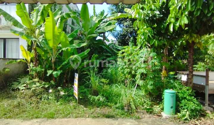 Dijual Kavling di Pagedangan Puspitek Asri Gading Serpong Tangerang Dijual Kavling di Pagedangan Puspitek Asri Gading Serpong Tangerang