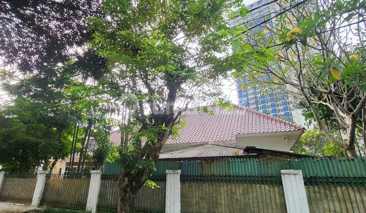 Rumah Tua Menteng Hitung Tanah Lokasi Strategis dan Asri