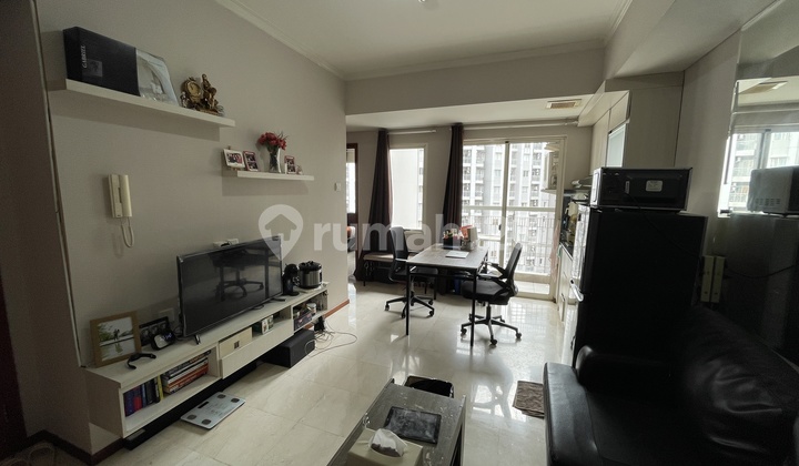 Nicely designed fully furnished apartement royal medit, terawat, baru di renov, free trial 2 hari 1