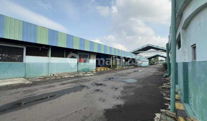Factory For Sale in Kadu Jaya Area, Curug - Tangerang