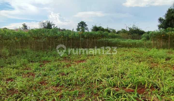 Tanah SHM di Perigi, Sawangan - Depok Tanah SHM di Perigi, Sawangan - Depok