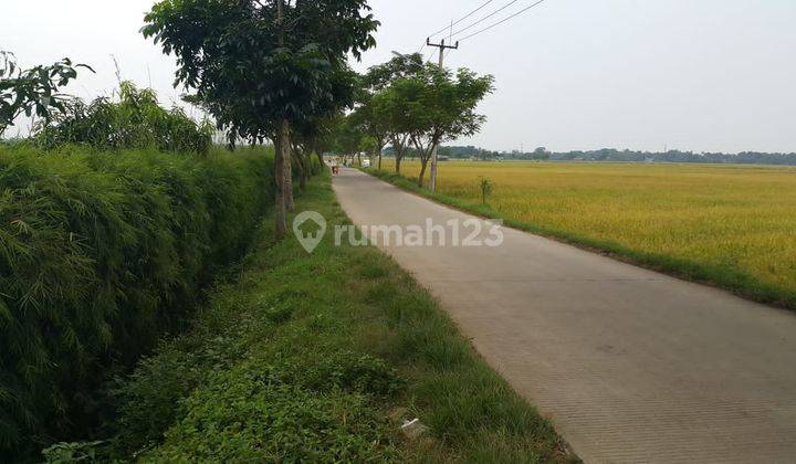 Tanah Pinggir Jalan Di Karawang Timur Shm 2