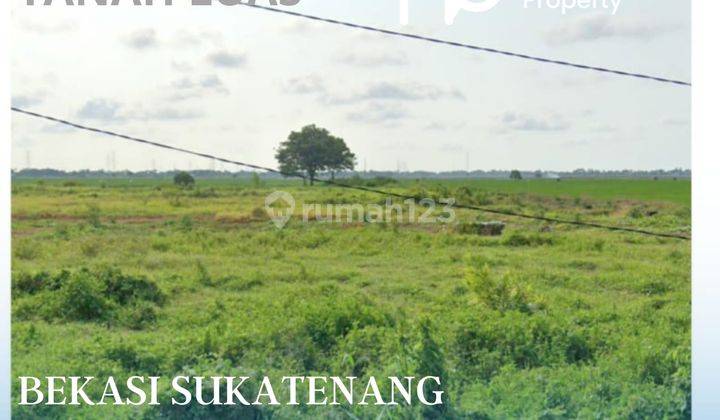 Dijual Tanah Bekasi Sukatenang Luas Tanah 150 Hektar 2