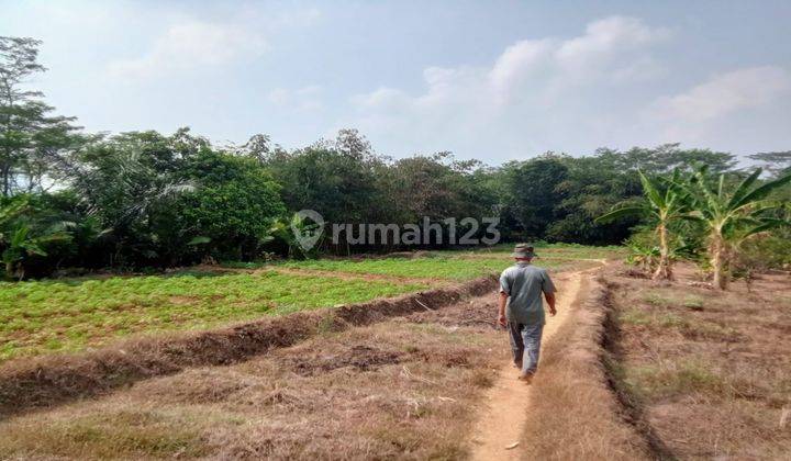 Dijual Tanah Kavling Di Karawang  Shm - Sertifikat Hak Milik 1