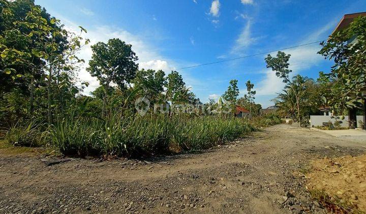 Tanah Pekarangan Strategis Dekat Kampus Janabadra Wates Kulonprogo. Sangat Cocok Untuk Kost/Kavlingan 2
