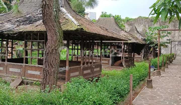 Tanah Mainroad Soekarno Hatta Cocok Untuk Segala Jenis Usaga Tanah Mainroad Soekarno Hatta Cocok Untuk Segala Jenis Usaga