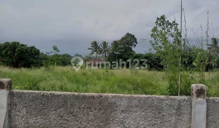 Tanah Kavling di Leuwiling Bogor Jawa Barat Strategis Nego Tanah Kavling di Leuwiling Bogor Jawa Barat Strategis Nego