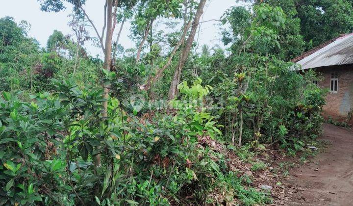 Tahan Kavling Luas di Jawilan Serang Banten  1