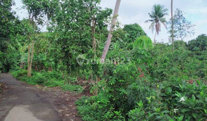 Tanah Kavling di Sukasari Serang Banten Strategis  2