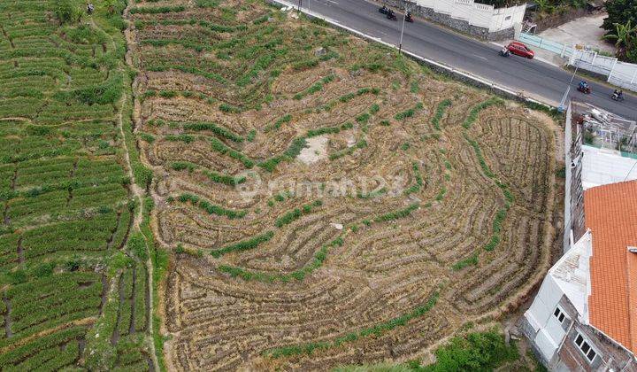 Tanah di Pacet, Mojokerto SHM 2.520 m² 1