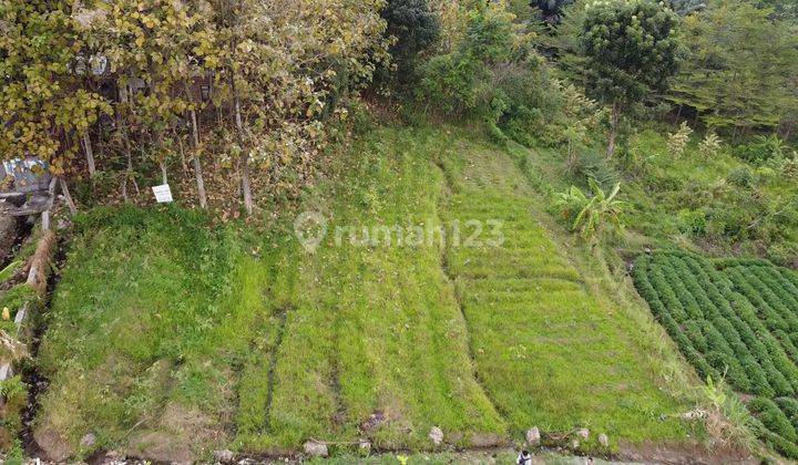 Tanah di Petak, Mojokerto SHM 1.552 m² 1