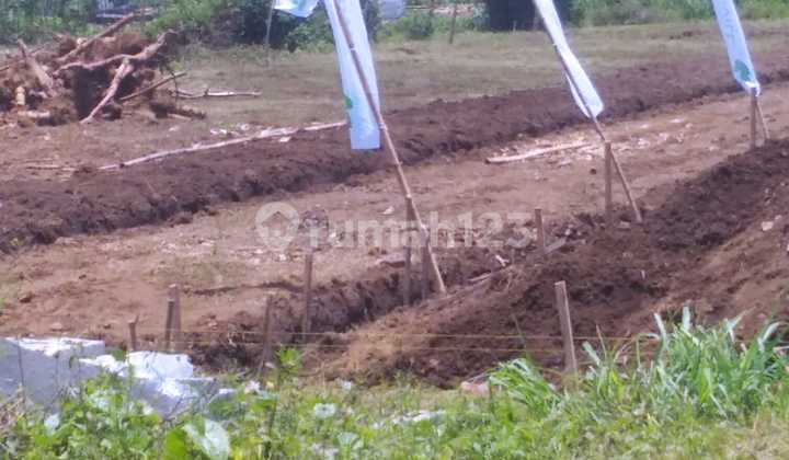Tanah Potensi Kost dan Hunian Malang, 7 Menit Kampus Umm, Ub