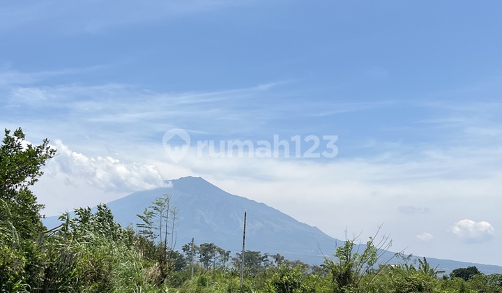 Tanah Kota Malang, 7 Menit Kampus Umm Muhammadiyah