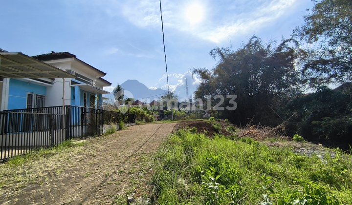 Villa Free Management, 3 Menit Jatim Park2 dan Alun-Alun Batu