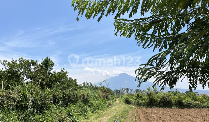 Malang City land, 7 minutes to Umm Muhammadiyah campus, installments available.