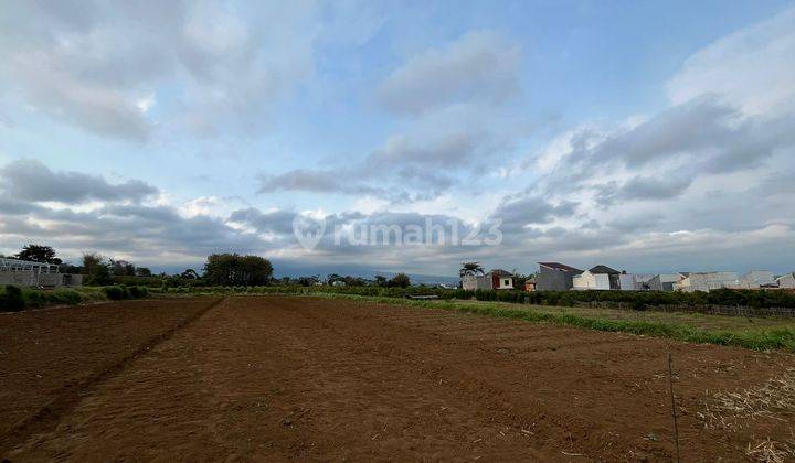 Tanah Kavling Malang Dekat Kampus Uin Legalitas SHM 2