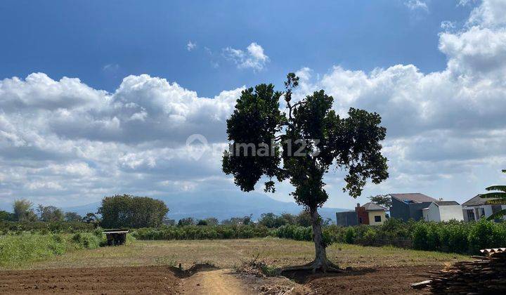 Dijual Tanah Untuk Rumah SHM Dekat Kampus Uin 1