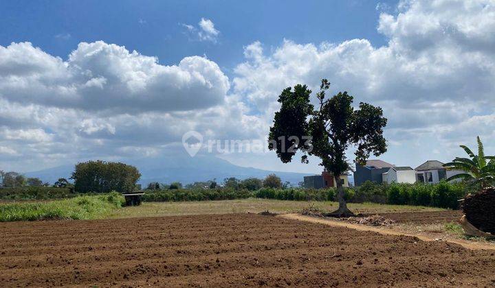 Tanah Murah Area Perumahan Joyoagung Kota Malang Dekat Brawijaya 1