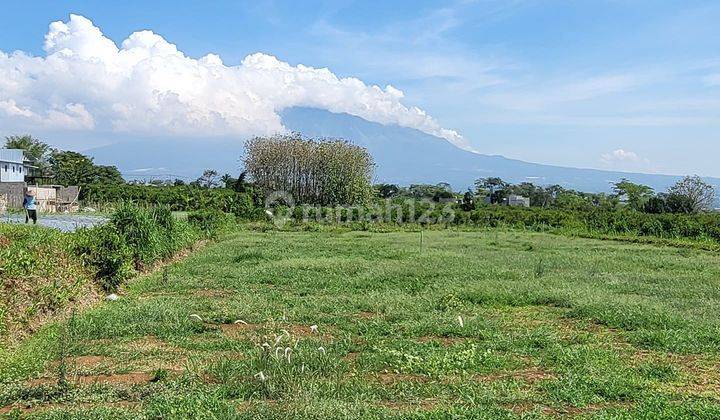 Tanah Perumahan Malang Dekat Kampus Umm Surat SHM 1