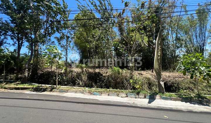 Kost Landungsari Malang Depan Kampus Muhammadiyah Malang