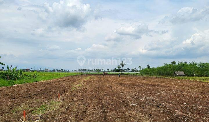 Dijual Tanah Pakisaji Genengan Dekat Pabrik Gula Kebon Agung 2