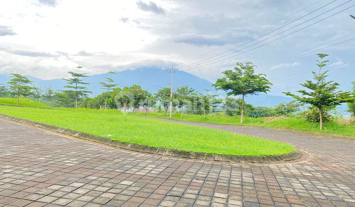 Tanah Kavling 2 Menit Kampus UIN 3 Cocok Bangun Kost Tanah Kavling 2 Menit Kampus UIN 3 Cocok Bangun Kost