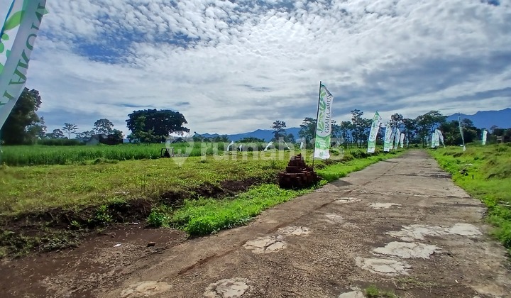 Jual Tanah Residensial Murah 3 Menit Exit Tol Pakis Malang