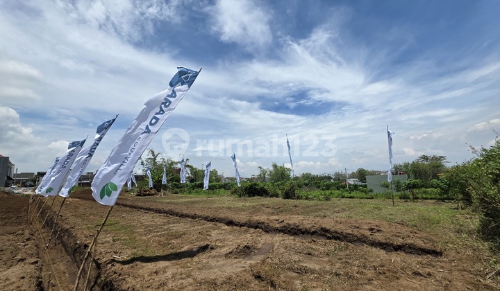 Buy Premium Boarding House Get Income Guarantee and Electric Car! 2