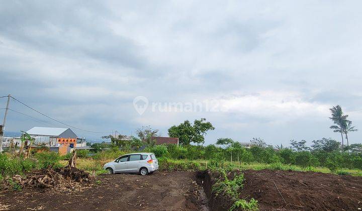 Tanah Murah Dijual Malang Jalur Alternatif Wisata Kota Batu 1