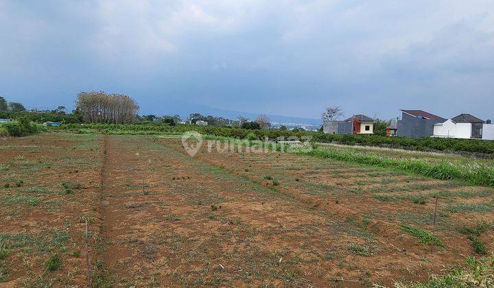 Tanah SHM Dijual di Joyo Agung Malang Lingkungan Perumahan 1