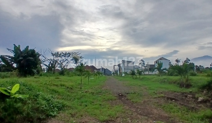 Sell Cheap Residential Land Near Pakis Malang Toll Exit Sell Cheap Residential Land Near Pakis Malang Toll Exit