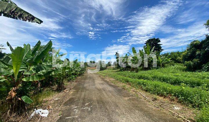 (RAMBUTAN) TANAH SUPER LUAS SIAP BERKEMBANG 2