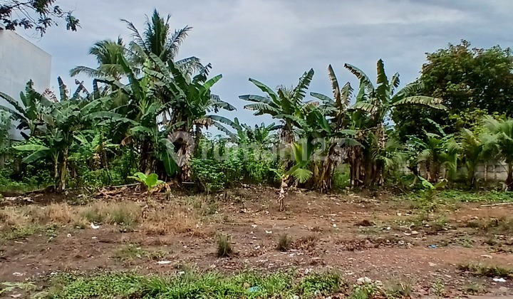 Tanah Luas Dipinggir Kota Langkan