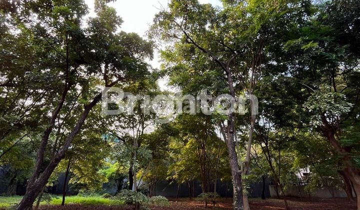 Kavling Tanah Pik Pinisi Permai 544m2 ( 17,5 X 31 )
Kavling Tanah Pik Pinisi Permai 544m2 ( 17,5 X 31 )