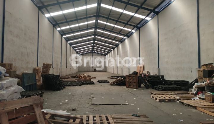 GUDANG KAPUK KAMAL MUARA GUDANG KAPUK KAMAL MUARA