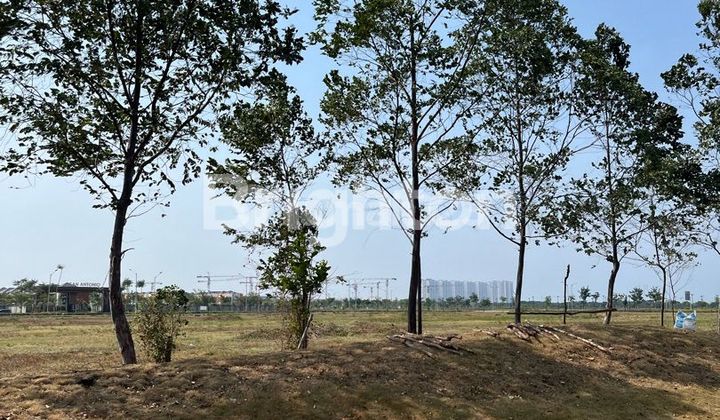 COMMERCIAL MILLENNIAL PIK2 LAND PLOT