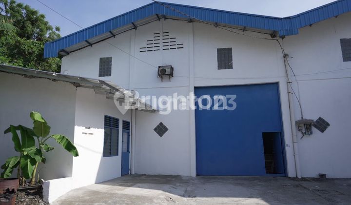 WAREHOUSE DAAN MOGOT 500M WAREHOUSE DAAN MOGOT 500M